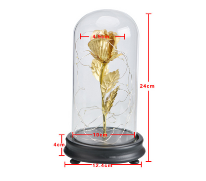 Rose - LED Light