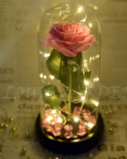 Rose - LED Light